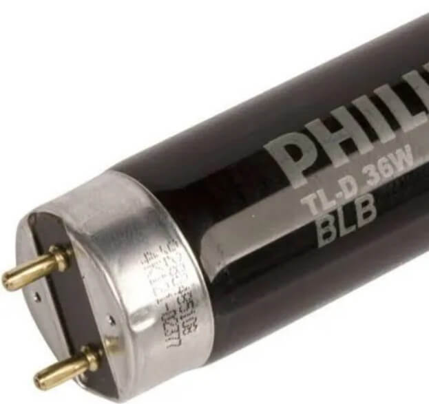 Bóng đèn soi màu Philips TL-D 36W BLB 1SL/25