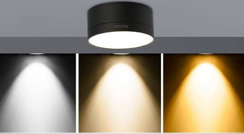 Đèn Downlight LED ống bơ philips DL212 có sản phẩm của từng màu ánh sáng: trắng/ trung tính/ vàng