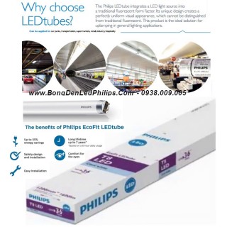 Combo 10 bóng đèn led tuýp Philips MyCare LEDTube 1m2 18W 765 T8 quang thông cao 1800Lm Combo 10 bóng đèn led tuýp Philips MyCare LEDTube 1m2 18W 765 T8 quang thông cao 1800Lm